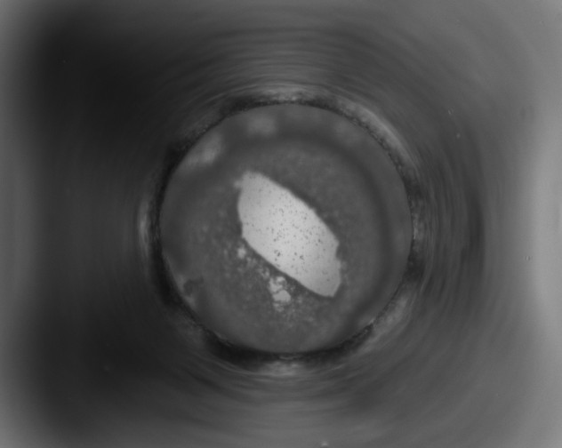 X0000087530119200705181037