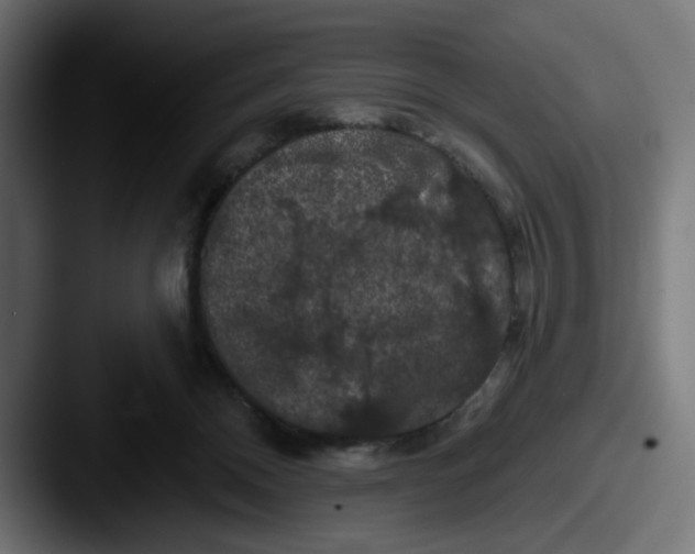 X0000087530120200705181037