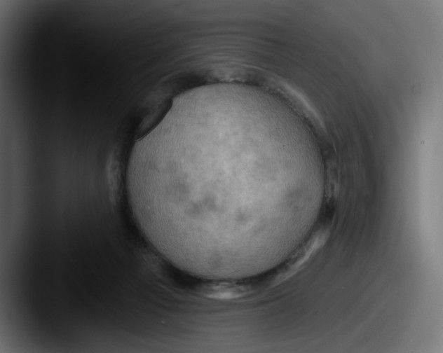 X0000087530121200705181037