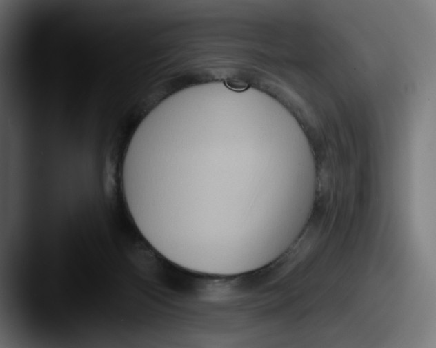 X0000087530122200705181037