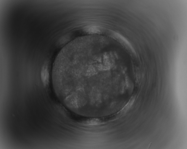 X0000087530124200705181037