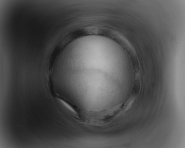 X0000087530125200705181037