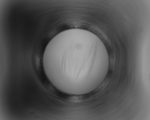 X0000087530126200705181037