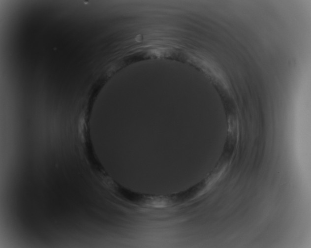 X0000087530127200705181037