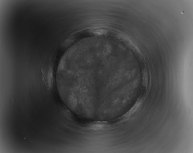 X0000087530128200705181037