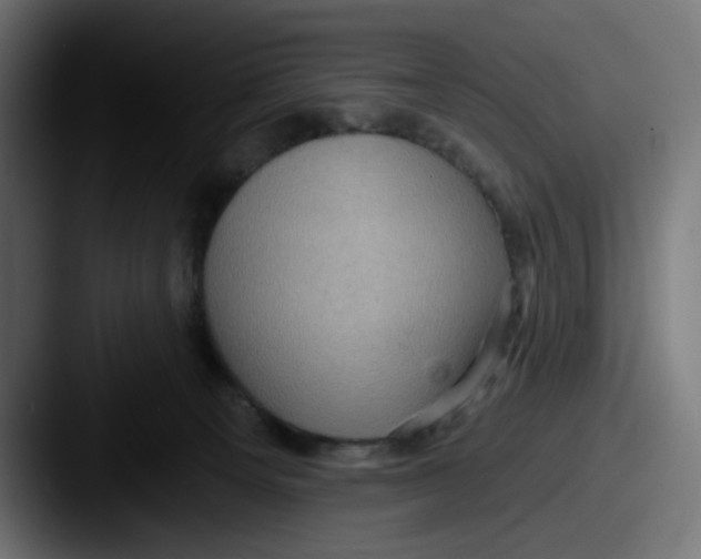 X0000087530129200705181037