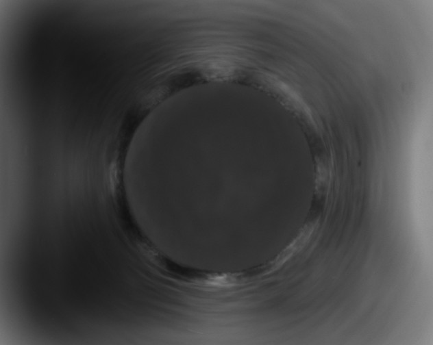 X0000087530130200705181037