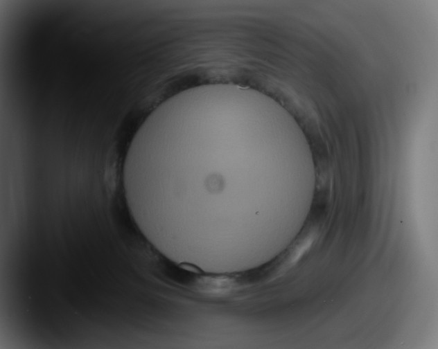 X0000087530133200705181037