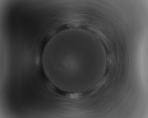 X0000087530134200705181037