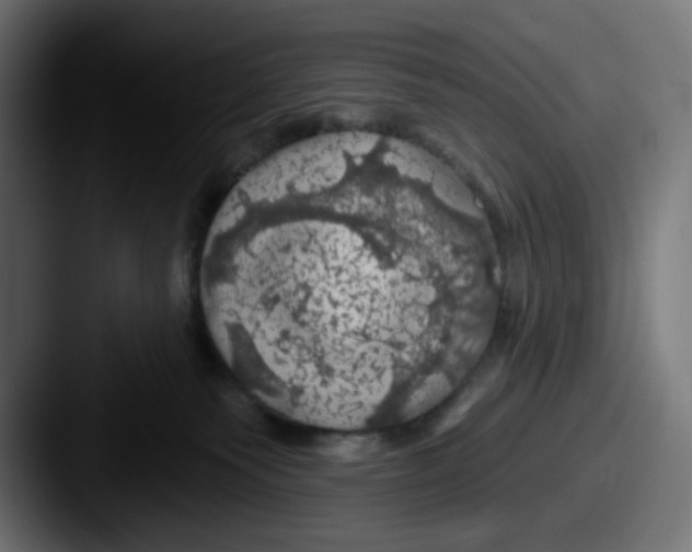X0000087530135200705181037