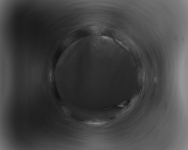 X0000087530137200705181037