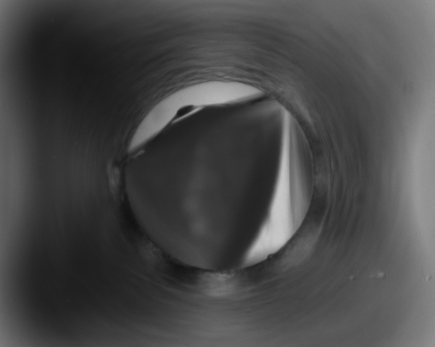 X0000087530139200705181037