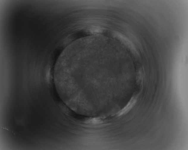 X0000087530140200705181037