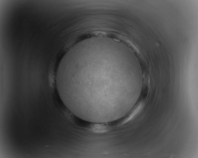 X0000087530141200705181037