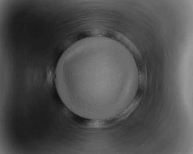 X0000087530142200705181037
