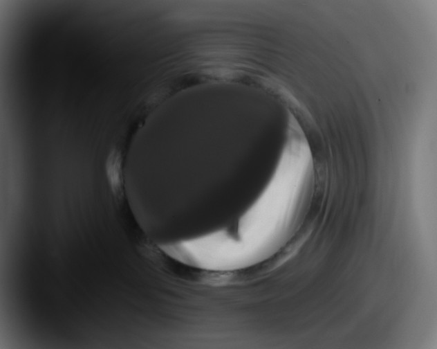 X0000087530143200705181037