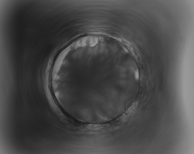 X0000087530145200705181036