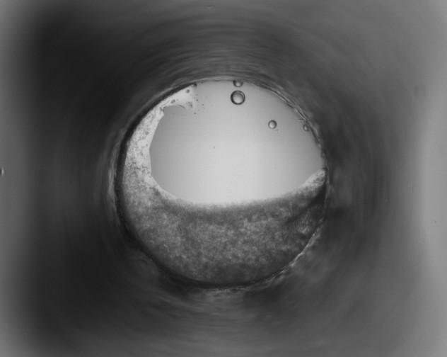 X0000087530146200705181036