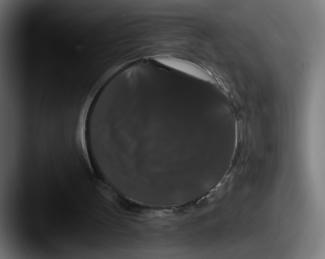 X0000087530147200705181037
