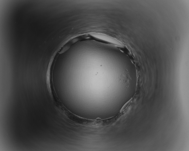 X0000087530148200705181037