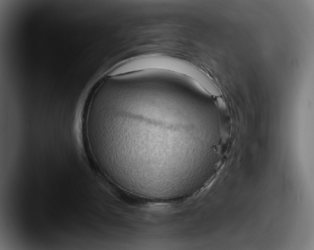X0000087530150200705181037