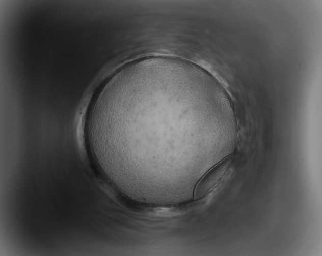 X0000087530151200705181037