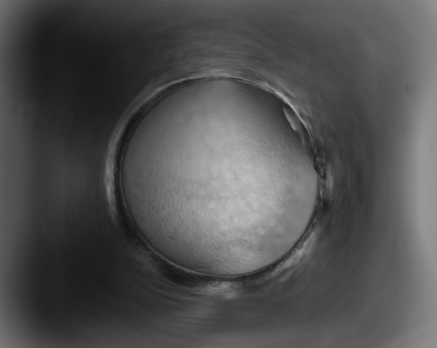 X0000087530152200705181037