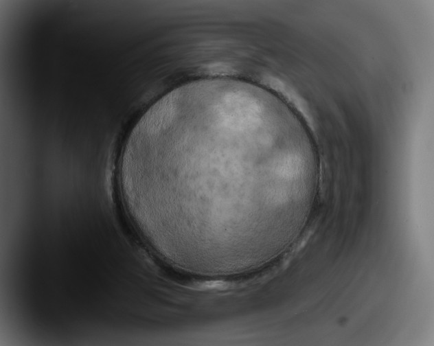 X0000087530153200705181037