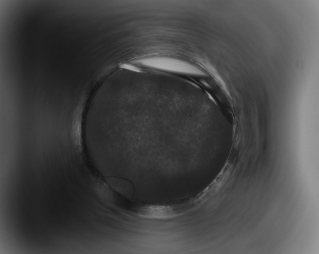 X0000087530154200705181037