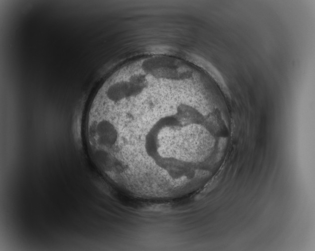 X0000087530155200705181037