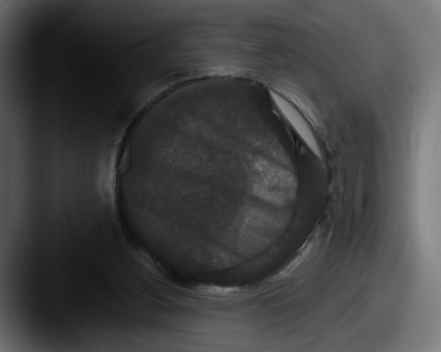 X0000087530156200705181037