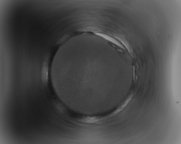 X0000087530157200705181037