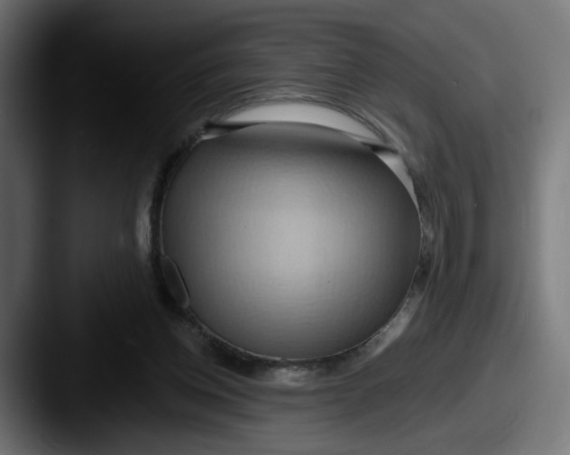 X0000087530158200705181037
