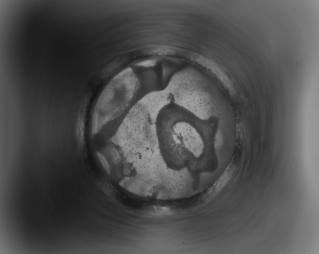 X0000087530159200705181037