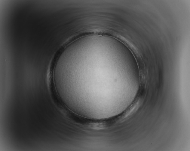 X0000087530160200705181037