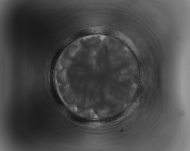 X0000087530161200705181037