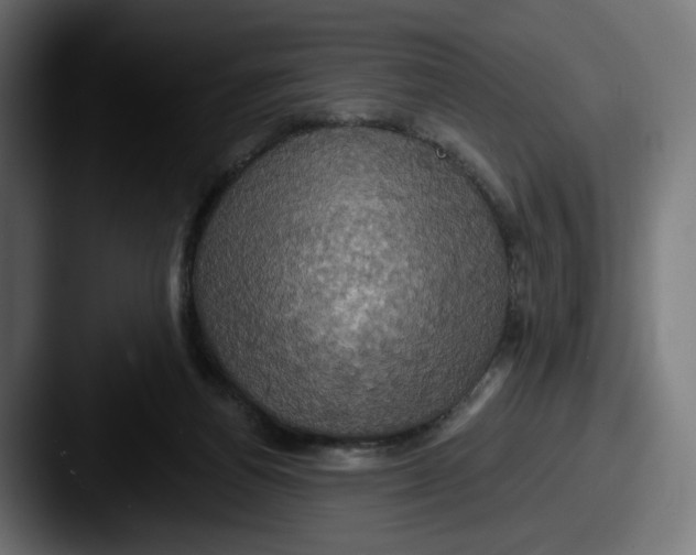 X0000087530164200705181037