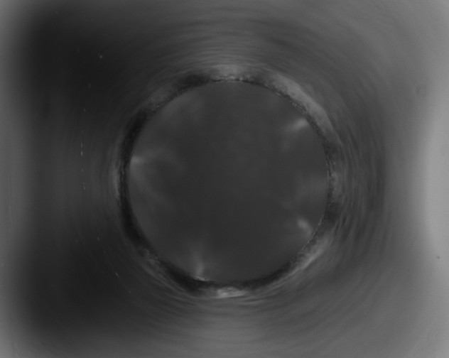 X0000087530165200705181037