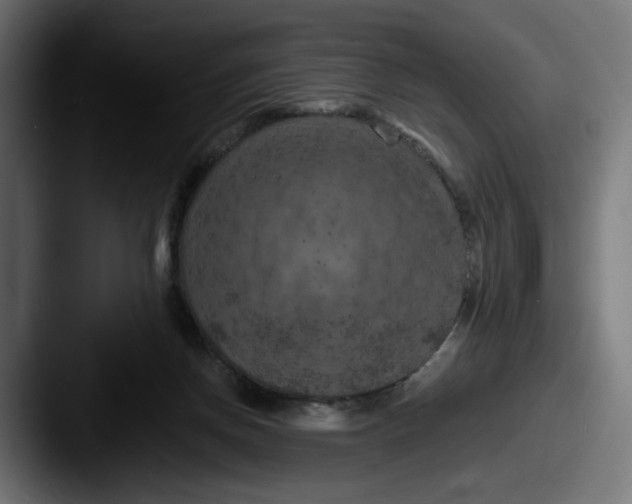 X0000087530166200705181037