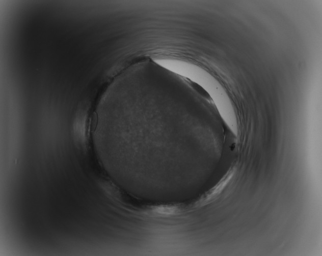 X0000087530168200705181037