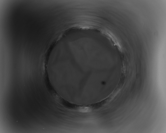 X0000087530169200705181037