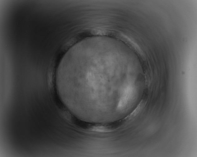 X0000087530171200705181037