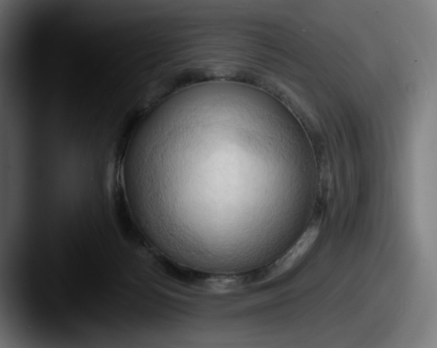 X0000087530172200705181037