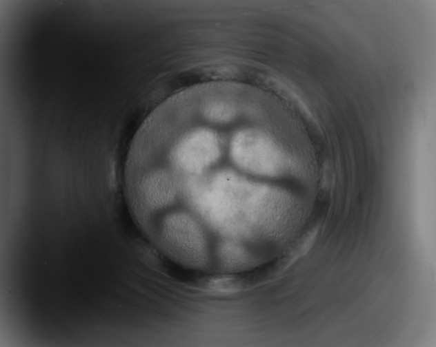 X0000087530173200705181037