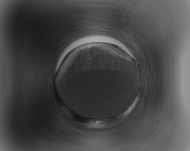 X0000087530174200705181037