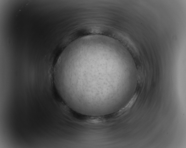 X0000087530175200705181037