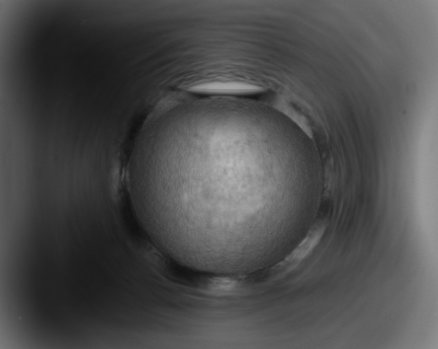 X0000087530176200705181037