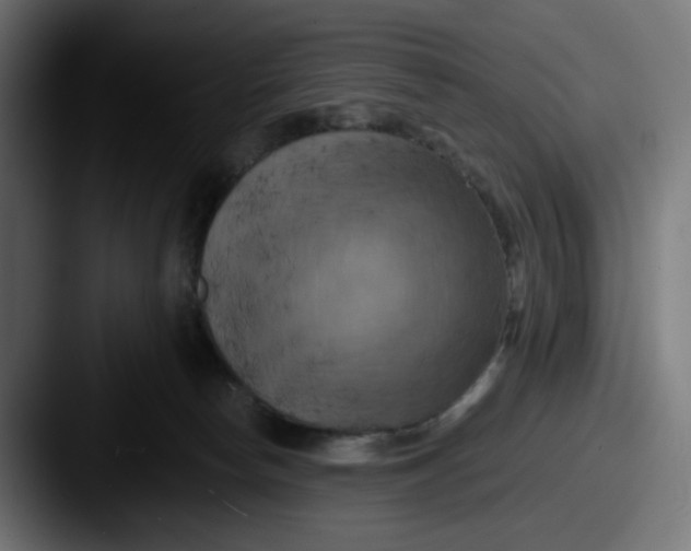 X0000087530178200705181037