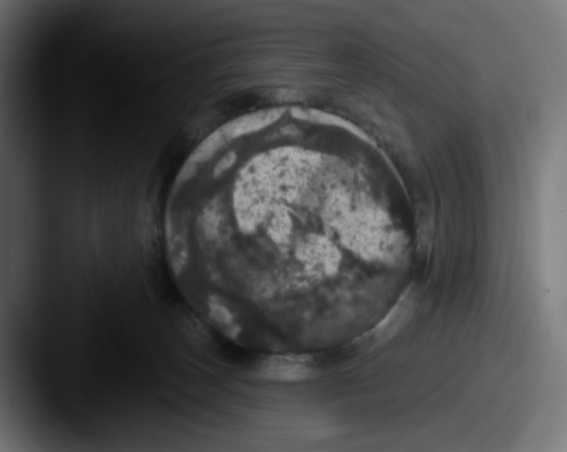X0000087530179200705181037