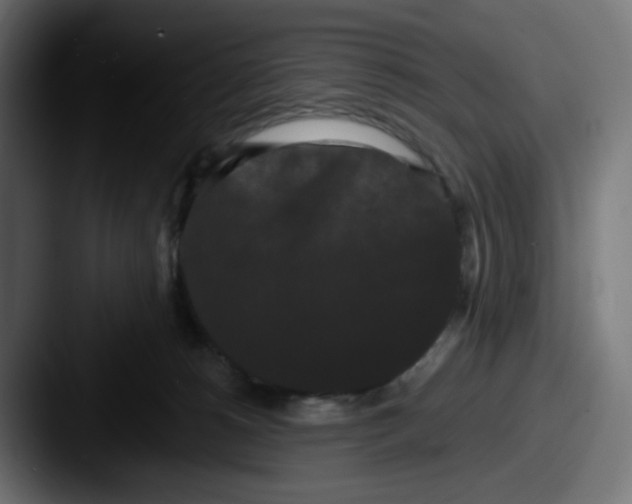 X0000087530180200705181037